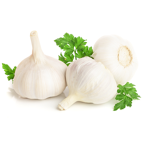 garlic